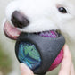 NEW! LED Dog Toy Ball