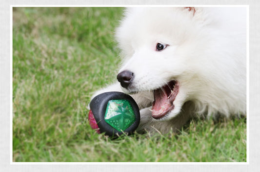 NEW! LED Dog Toy Ball
