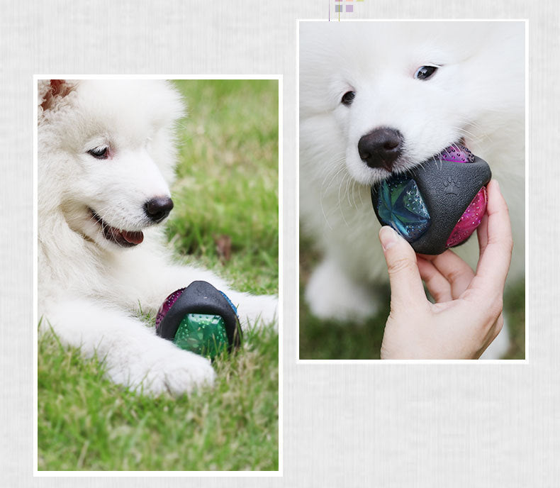 NEW! LED Dog Toy Ball