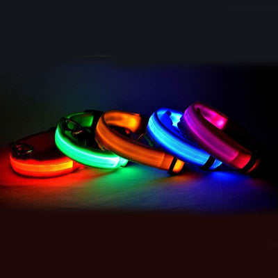 LED Pet Dog Luminous Glow in Dark Leash