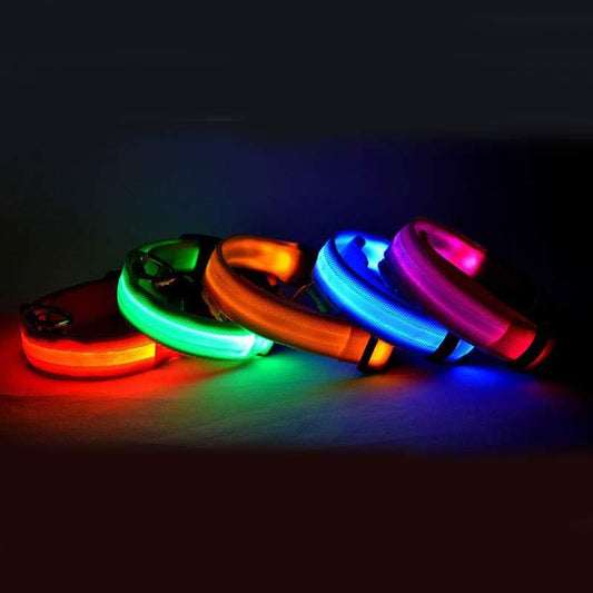 LED Pet Dog Luminous Glow in Dark Leash