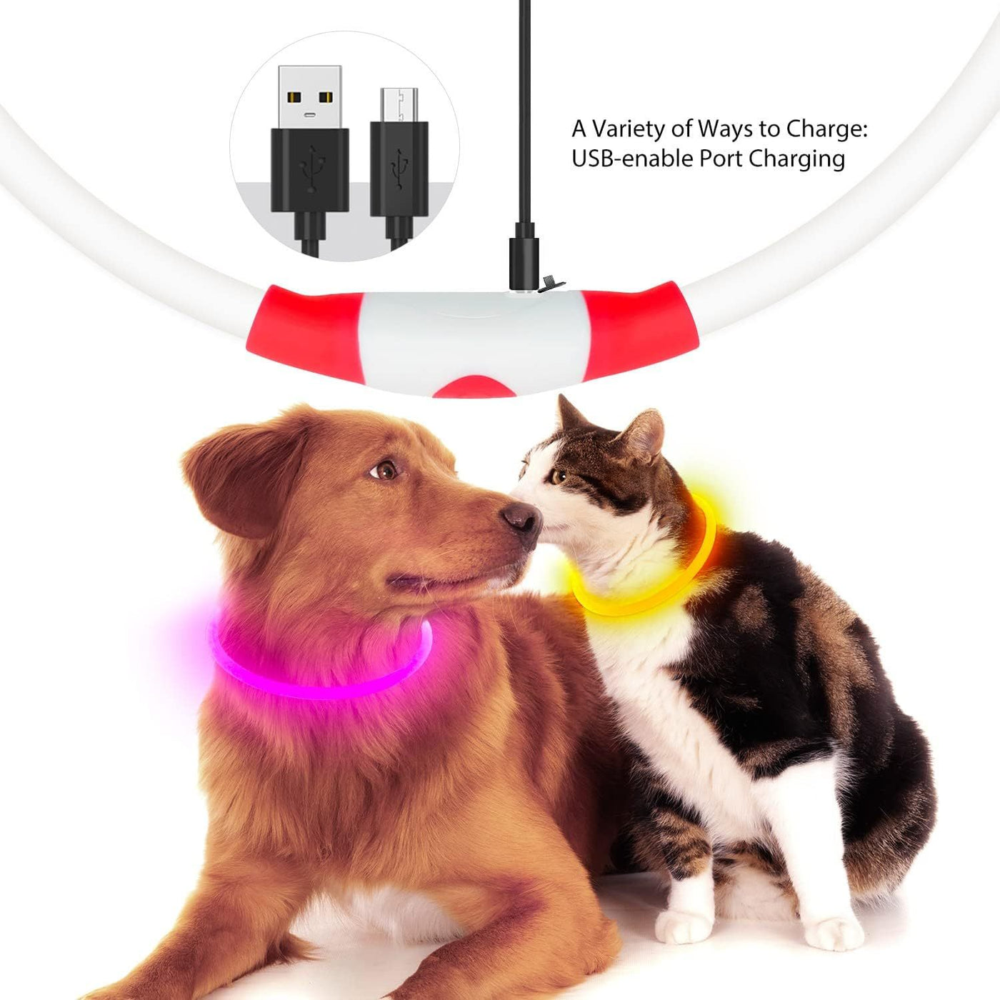 LED Dog Collar – USB Rechargeable Safety Light