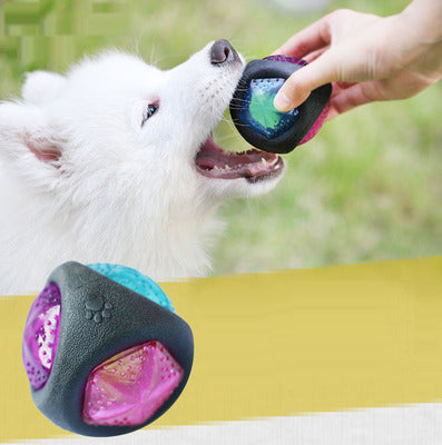 NEW! LED Dog Toy Ball