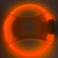 LED Glowing Disk Dog Toy