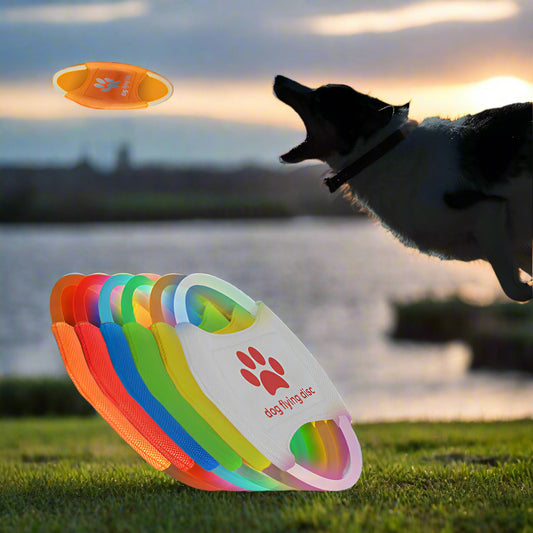 LED Glowing Disk Dog Toy