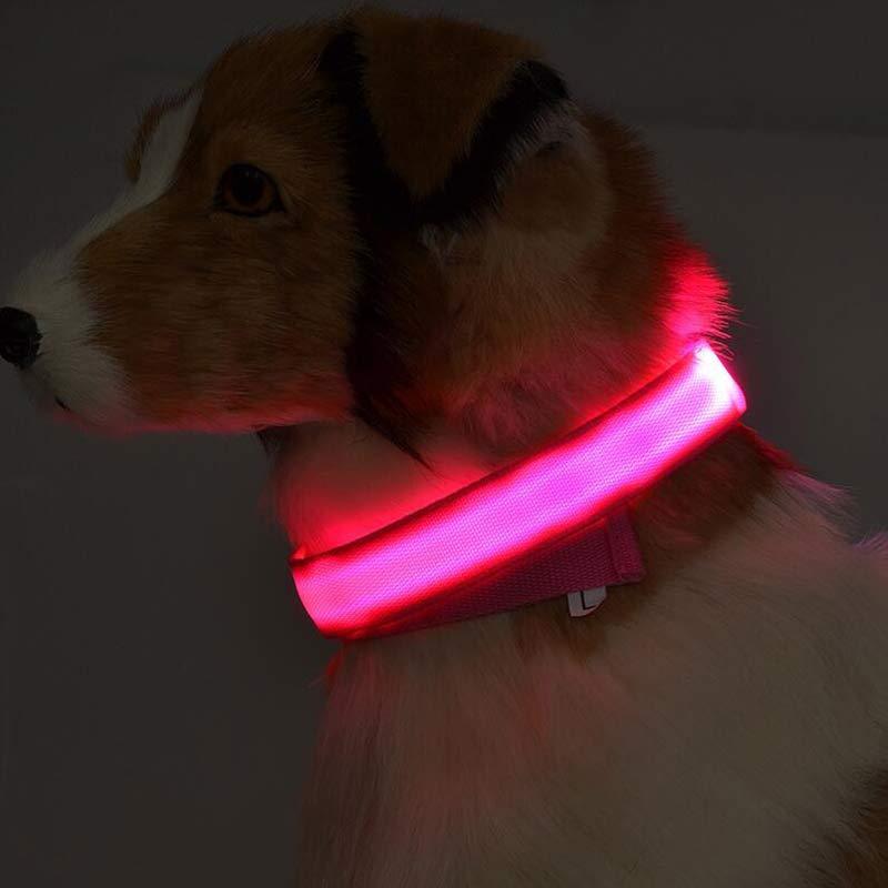 LED Pet Dog Luminous Glow in Dark Leash