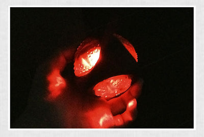 NEW! LED Dog Toy Ball