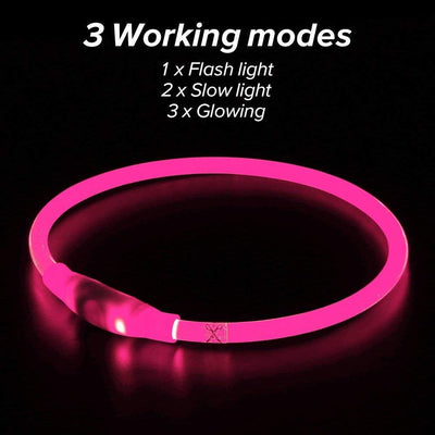 LED Dog Collar – USB Rechargeable Safety Light