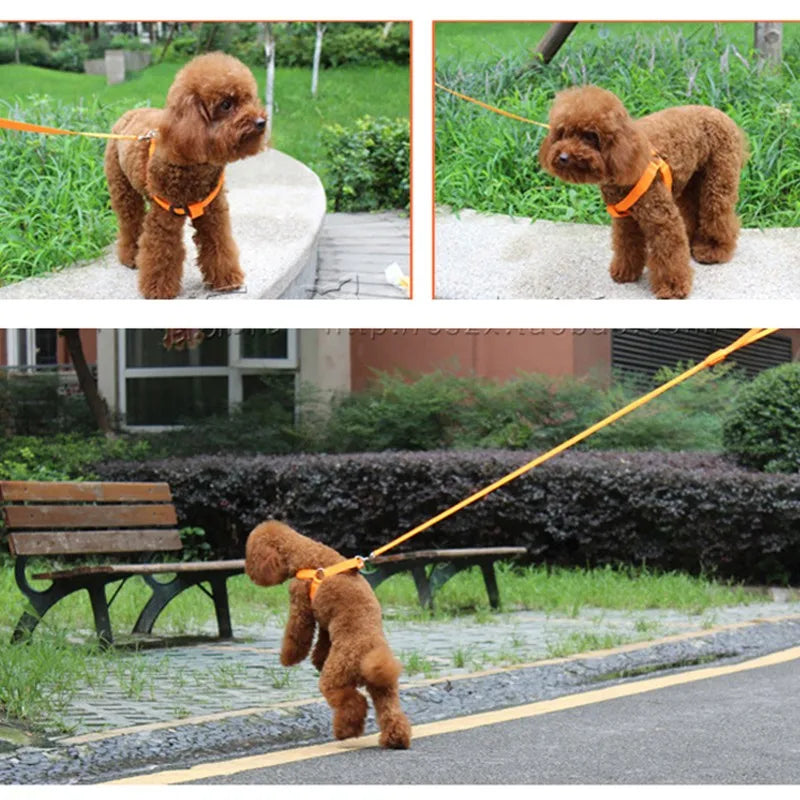 Pet Safety LED Harness Adjustable Leash 