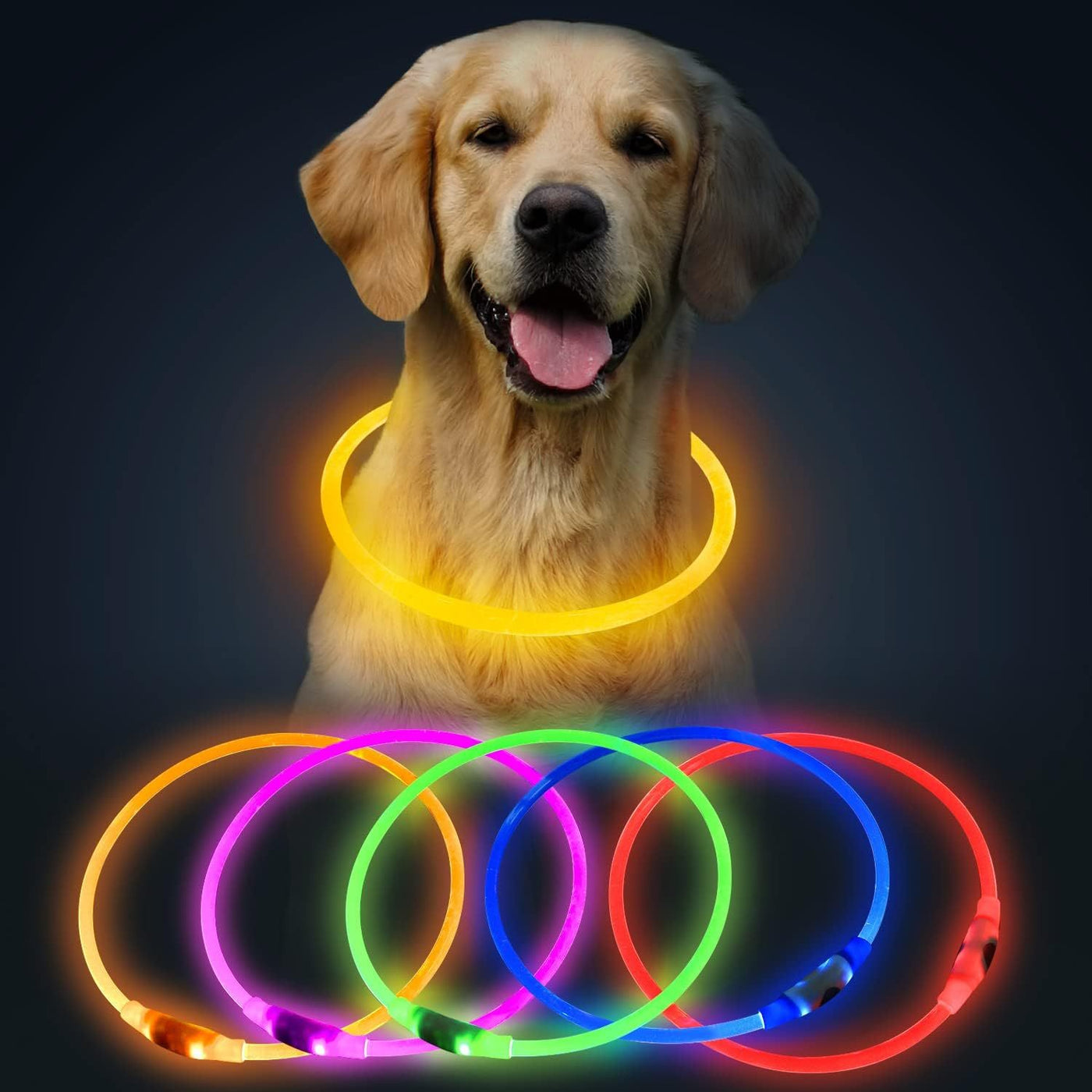 LED Dog Collar – USB Rechargeable Safety Light