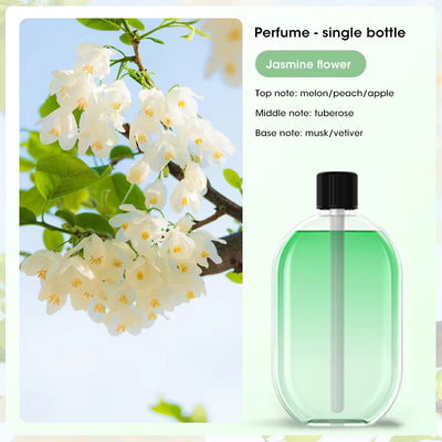 Automatic Home Fragrance Machine Essential Oil Diffuser Nebulizer Perfume Scent Machine for Kitchen and Toilet Deodorization