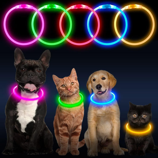 LED Dog Collar – USB Rechargeable Safety Light