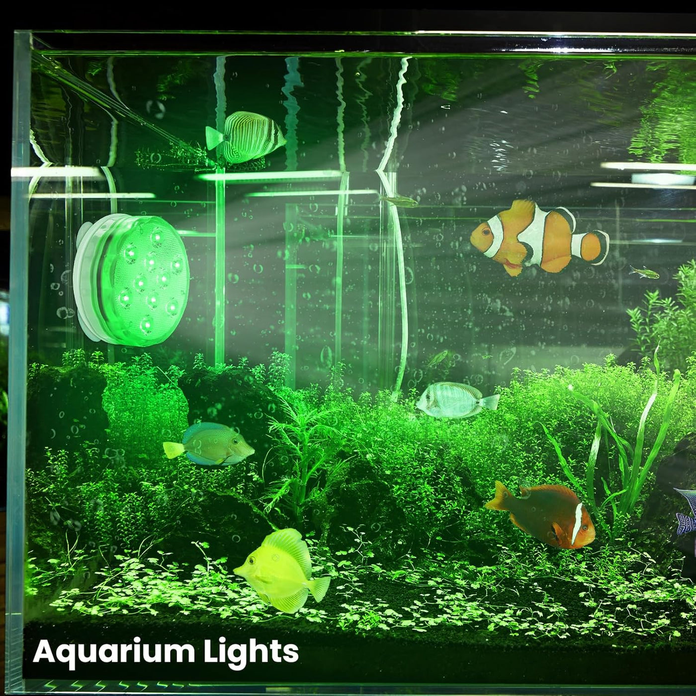 Rechargeable Submersible LED Lights with Remote, USB Color Changing Aquarium Lights with Magnet Suction Cups, Waterproof Underwater Pool Lights for Inground Pool Shower Hot Tub Accessories, 2Packs