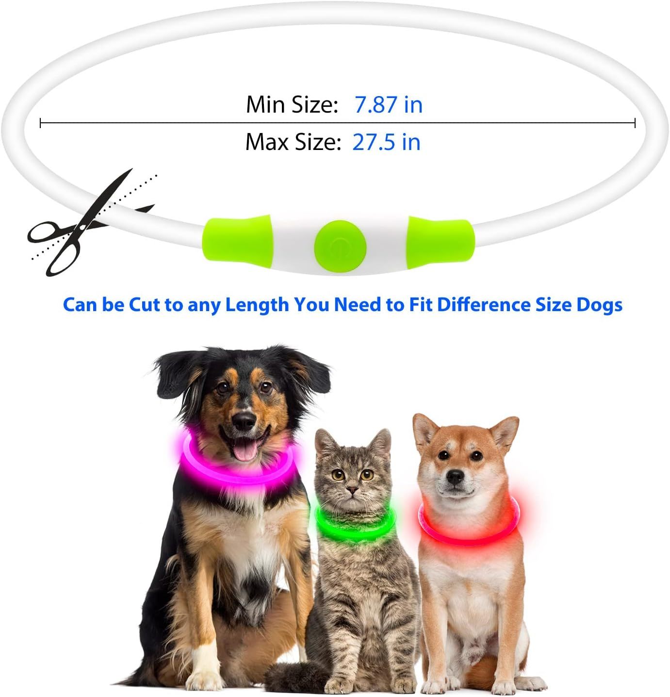 LED Dog Collar – USB Rechargeable Safety Light