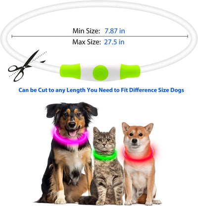 LED Dog Collar – USB Rechargeable Safety Light