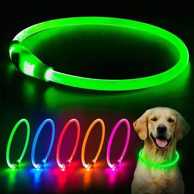LED Dog Collar – USB Rechargeable Safety Light