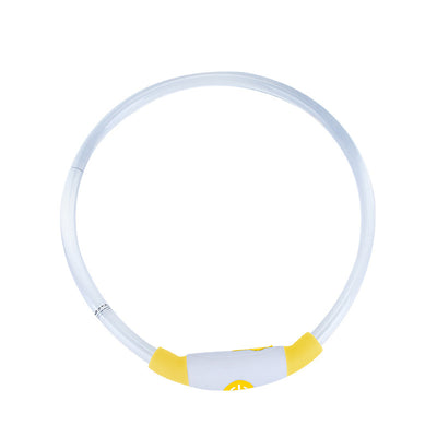LED Dog Collar – USB Rechargeable Safety Light