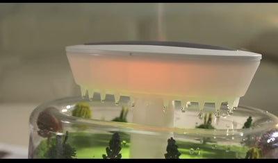 Nature Humidifier Bundle